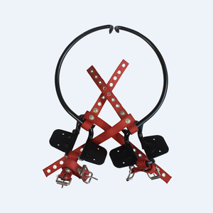 10inihi te Kaipiki Pouaka Rakau